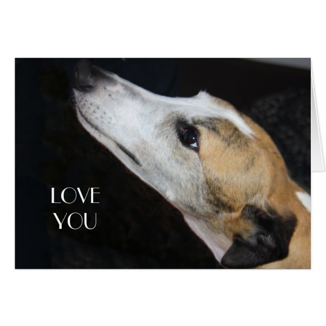 Carte Greyhound Love You (Devant horizontal)