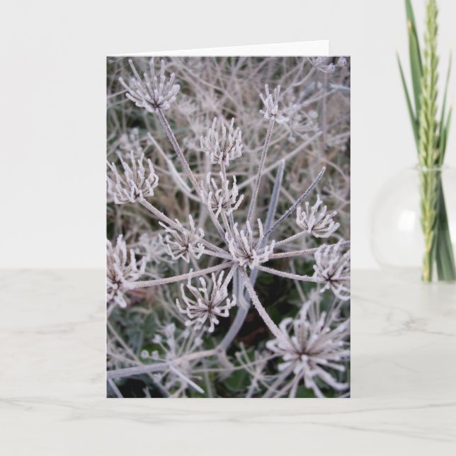 Carte griffes d'hivers (Devant)