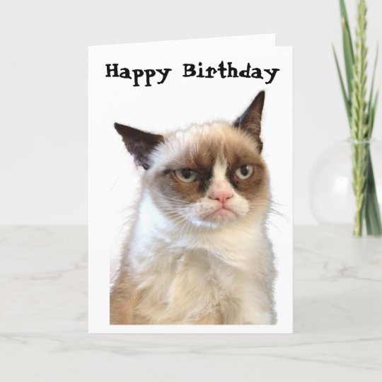 Carte Grincheuse De Joyeux Anniversaire De Chat Zazzle Fr