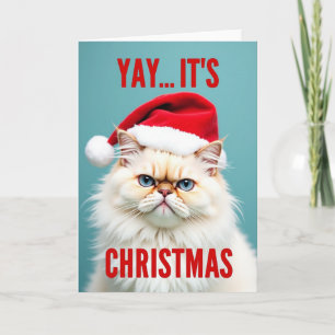 Carte Grincheux Chat de Noël Père Noël
