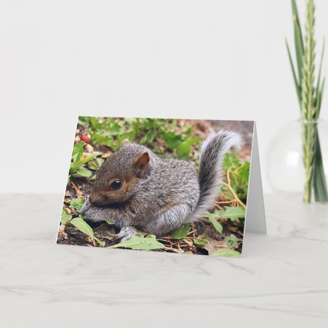 Carte Gris bébé (Devant)