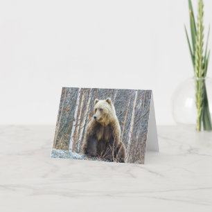Carte Grizzly Bear