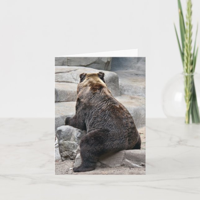 Carte Grizzly Bear sur un rocher (Devant)