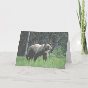 Carte Grizzly Bear Woods