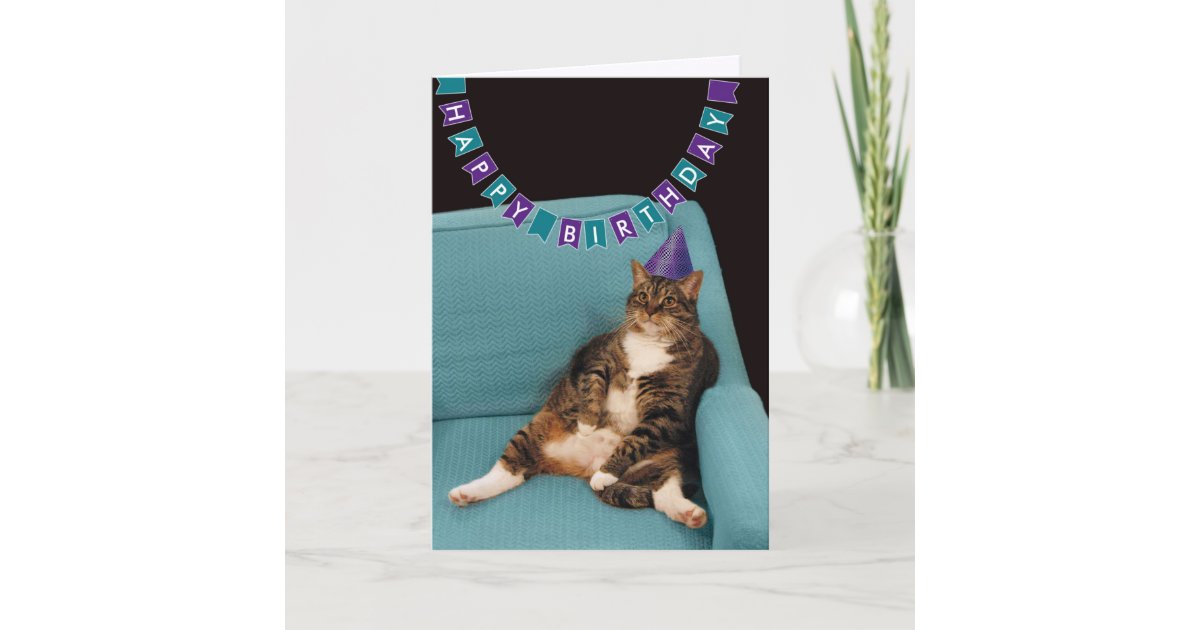 Chat I Puked In The Kitchen Carte De Vœux Pour Lui Pour Elle Carte Danniversaire Humoristique Pour Homme Femme De La Gamme They Can Talk Wdm 4435 Cartes Granariodunensis Loisirs Creatifs Chat I Puked In The Kitchen Carte De Vœux Pour Lui Pour Elle Carte Danniversaire Humoristique Pour Homme Femme De La Gamme They Can Talk Wdm 4435 Cartes Granariodunensis Loisirs Creatifs