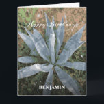 Carte Gros Joyeux Anniversaire Hommes Aquarelle Plantes<br><div class="desc">Big Happy Birthday Men Watercolor Plantes Custom Card a un beau plante qui peut être apprécié. Remplacez l'information par la vôtre et donnez à cette personne spéciale dans votre vie. Photo de Denise Bennerson,  photographe</div>