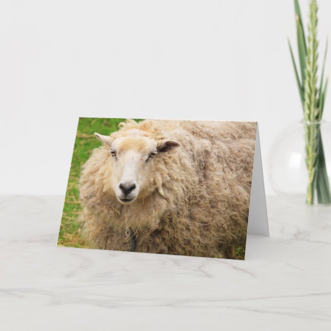 Carte Gros mouton laineux Fuzzy Anniversaire (Devant)