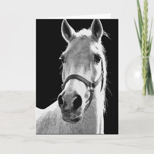 Carte Gros plan Cheval blanc noir en nuit (Devant)