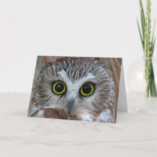 Carte Gros plan de la Chouette du Nord