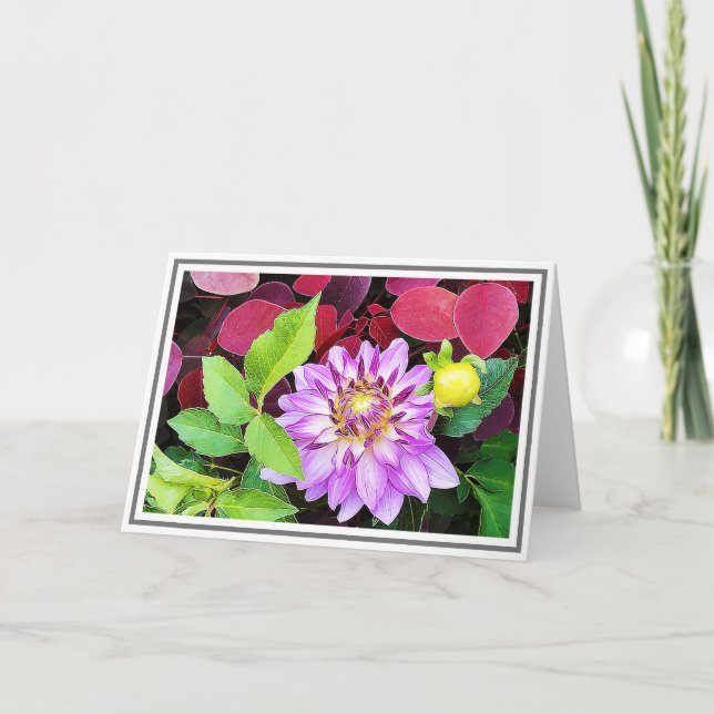 Carte Gros plan Purple Dahlia Green & Red Foliage (Devant)