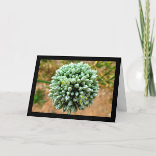 Carte Gros plan sur Allium, fleur d'oignon sauvage