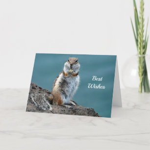 Carte Ground Squirrel Félicitations Mariage Card