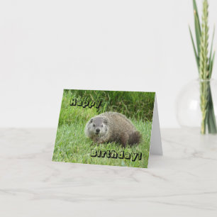 Carte Groundhog de joyeux anniversaire