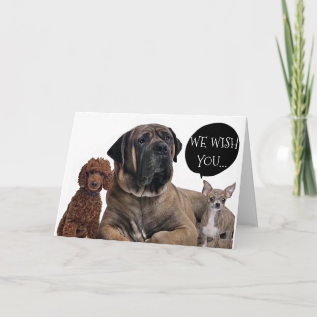 CARTE GROUPE DE CHIENS *MEILLEUR ANNIVERSAIRE JAMAIS* SO (Devant)