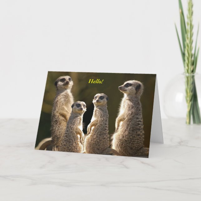 Carte Groupe de Meerkat bonjour ! (Devant)