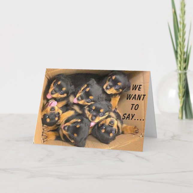 CARTE GROUPE DE PUPS DIT **JOLI ANNIVERSAIRE** (Devant)