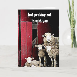 CARTE "GROUPE DE SHEEP" VOUS SOUHAITEZ *MERCI NOËL*