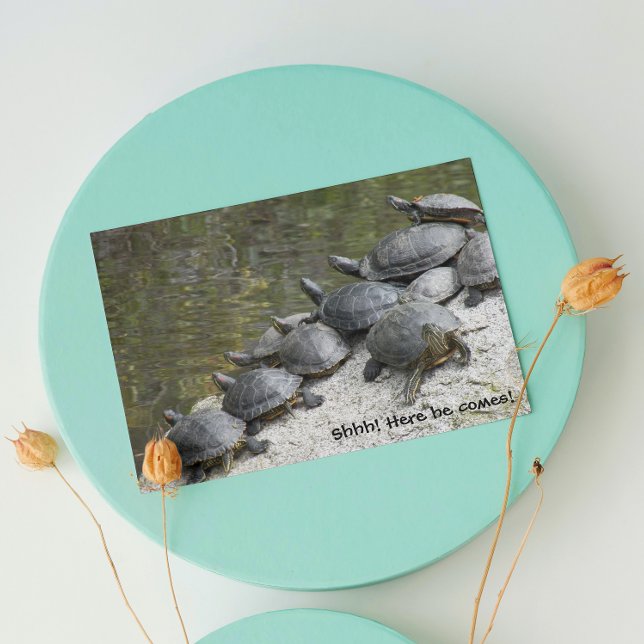 Carte Groupe de tortues photo anniversaire drôle (In Situ)