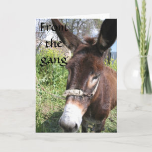 CARTE GROUPE DONKEY SOUHAITS D'ANNIVERSAIRE