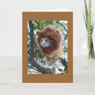 Carte GROUPE NO DISGUISE-40e BIRTHDAY