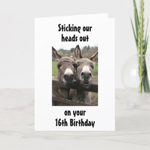 Carte GROUPE OU COUPLE DONKEY HEUREUX *16e* Anniversaire