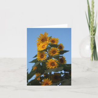 Carte Groupe Sunflower Notecard