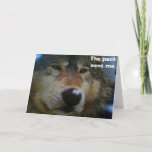CARTE GROUPE=THE PACK EMISSIONS A HOWL<br><div class="desc">How much FUN veut it be for you in your friends or relative to send this cool card ! Donc :</div>