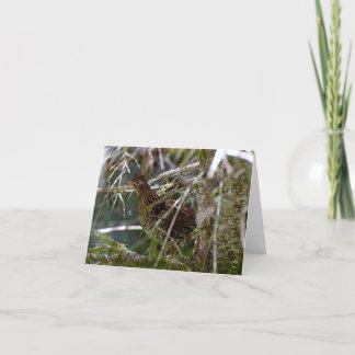 Carte Grouse de Ruffed 02