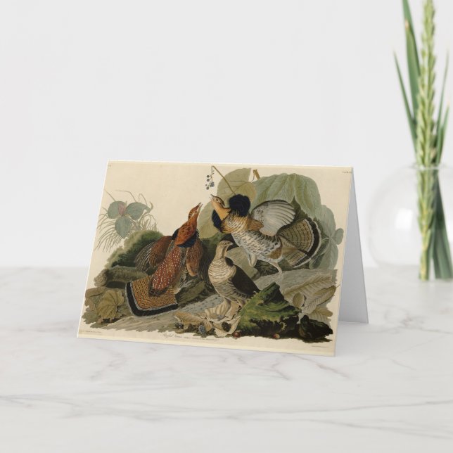Carte Grouse rouffé - d'Audubon's Birds of America (Devant)