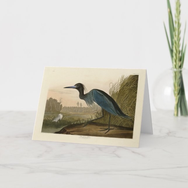Carte Grue bleue Héron Impression Audubon Art côtier (Devant)