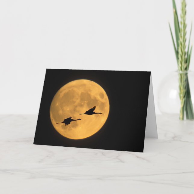 Carte Grues Sandhill | Réserve nationale de faune (Devant)