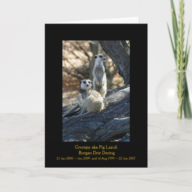 Carte Grumpy and Burgan - Legends Card (Devant)