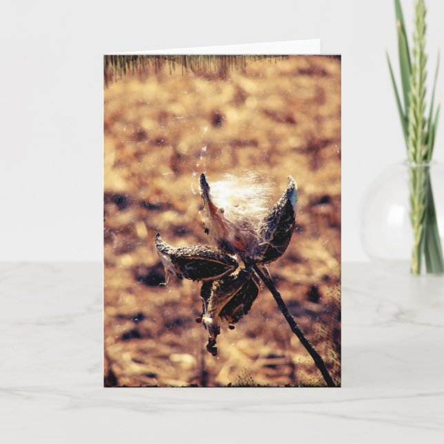 Carte Grunge d'algue (Devant)