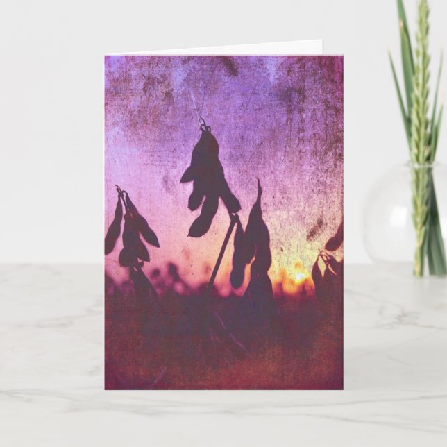 Carte Grunge de coucher de soja, Anniversaire (Devant)