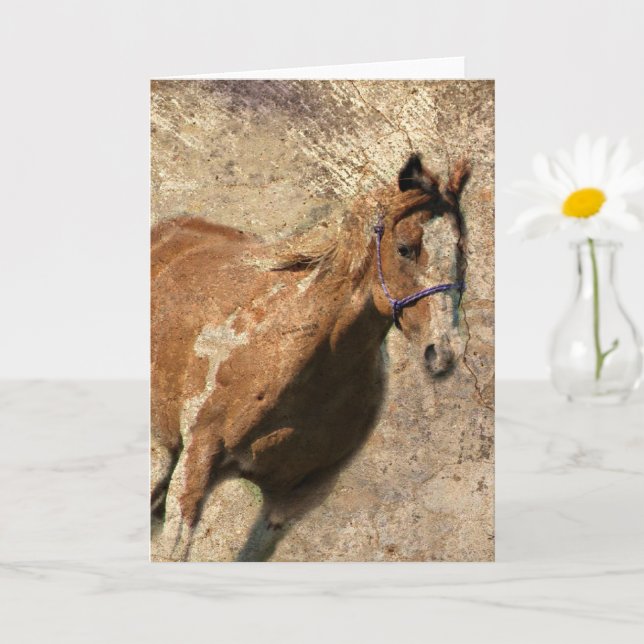 Carte Grunge Vintage Flashy Toutes les Occasions (Petite plante)