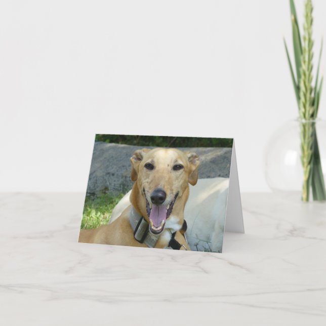 Carte Gryhound souriant (Devant)