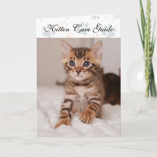 Carte Guide de soins pour chatons pliés destiné aux chat (Devant)