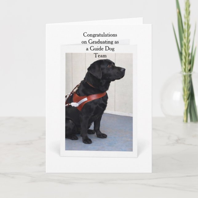 Carte Guide Dog Graduation Congratulations Card (Devant)