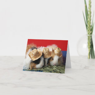 Carte Guinea Pig Note Card