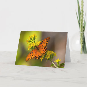 Carte Gulf Fritillary alias Papillon de la Passion sur V