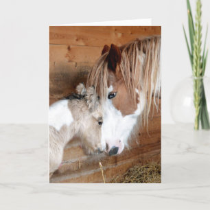 Carte Gypsy Vanner Mare et Foal Mother's Day