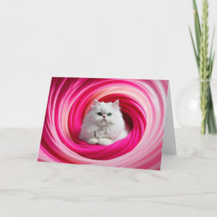 Carte Gyre de chat perse blanc
