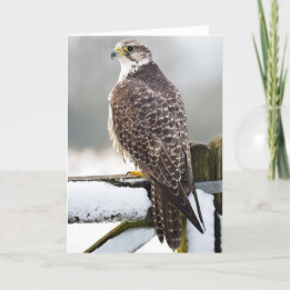 Carte Gyrfalcon