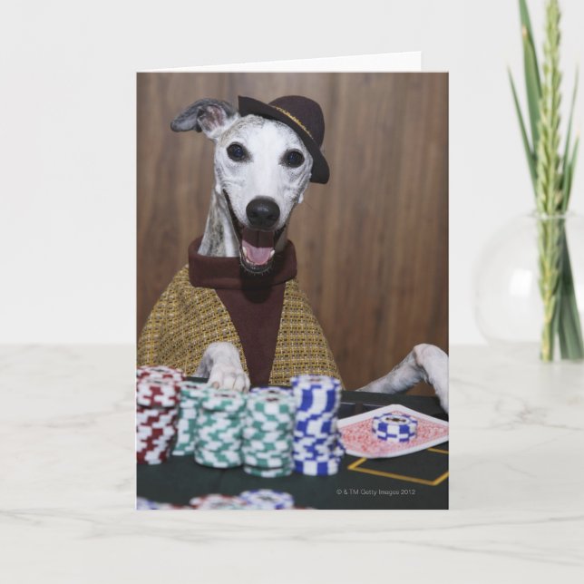 Carte Habillé chien de whippet à la table de jeu (Devant)