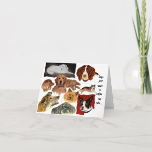 Carte Habitudes amusantes des chiens dans les chats