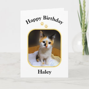 Carte Haley Calico Kitten Joyeux anniversaire