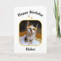 Haley Chaton Tricolore Joyeux Anniversaire