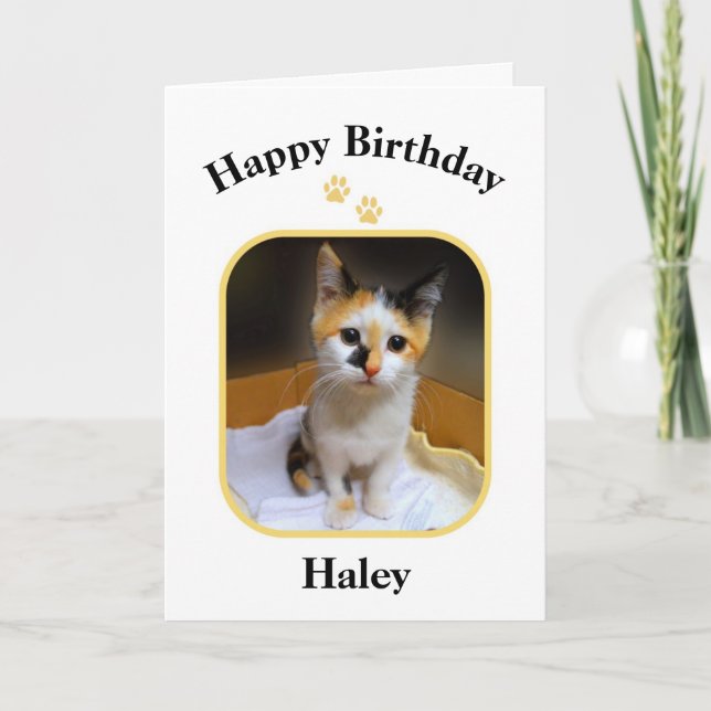 Carte Haley Chaton Tricolore Joyeux Anniversaire (Devant)
