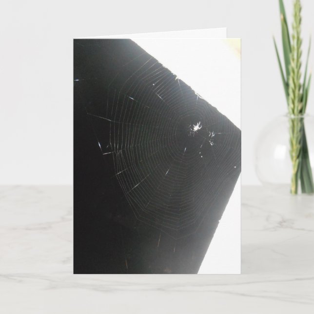 Carte Hallowe’en "Maplewood Spider" (Devant)