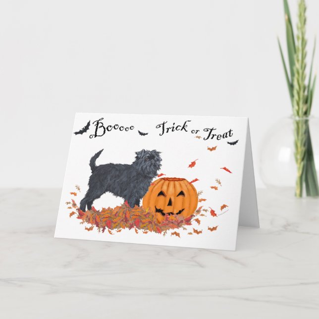 Carte Halloween Affenpinscher (Devant)
